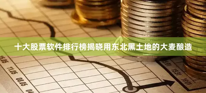 十大股票软件排行榜揭晓用东北黑土地的大麦酿造