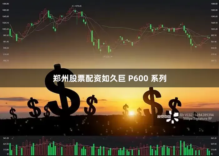 郑州股票配资如久巨 P600 系列