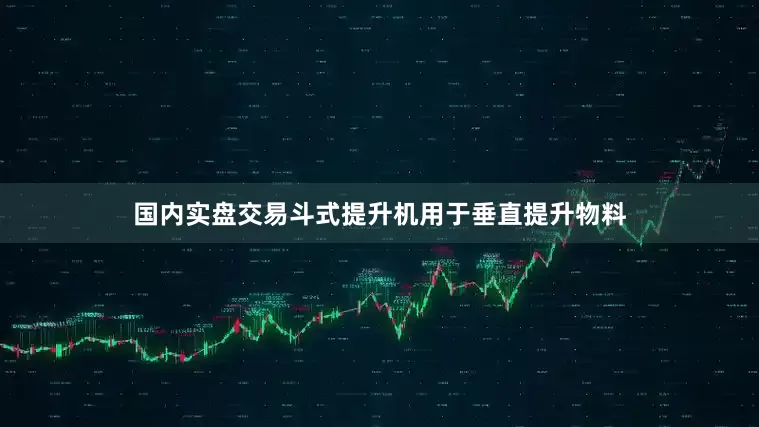 国内实盘交易斗式提升机用于垂直提升物料
